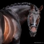 Andrea Eppley